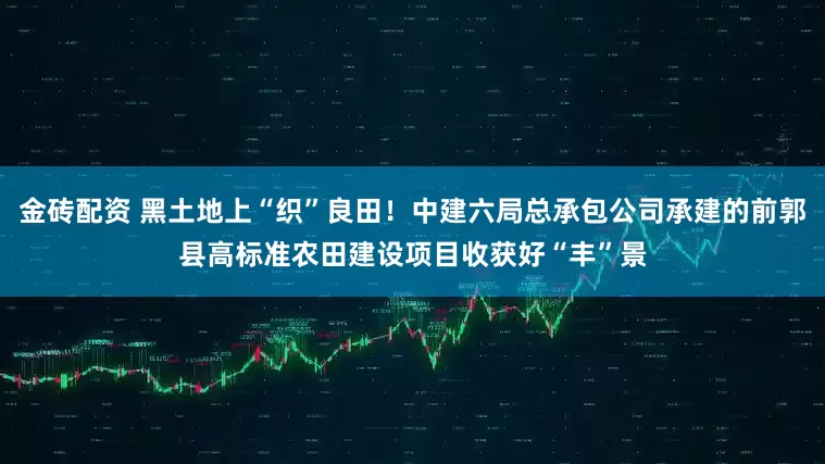 金砖配资 黑土地上“织”良田！中建六局总承包公司承建的前郭县高标准农田建设项目收获好“丰”景