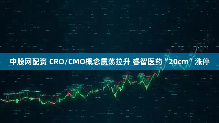 中股网配资 CRO/CMO概念震荡拉升 睿智医药“20cm”涨停
